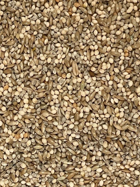 1kg Budgie Seed Mix